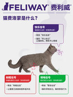 FELIWAY Classic Cat Soothing Supplement 48ml, Preventing Cat Scratching, Urinating and Soothing Cat Mood thumbnail 4