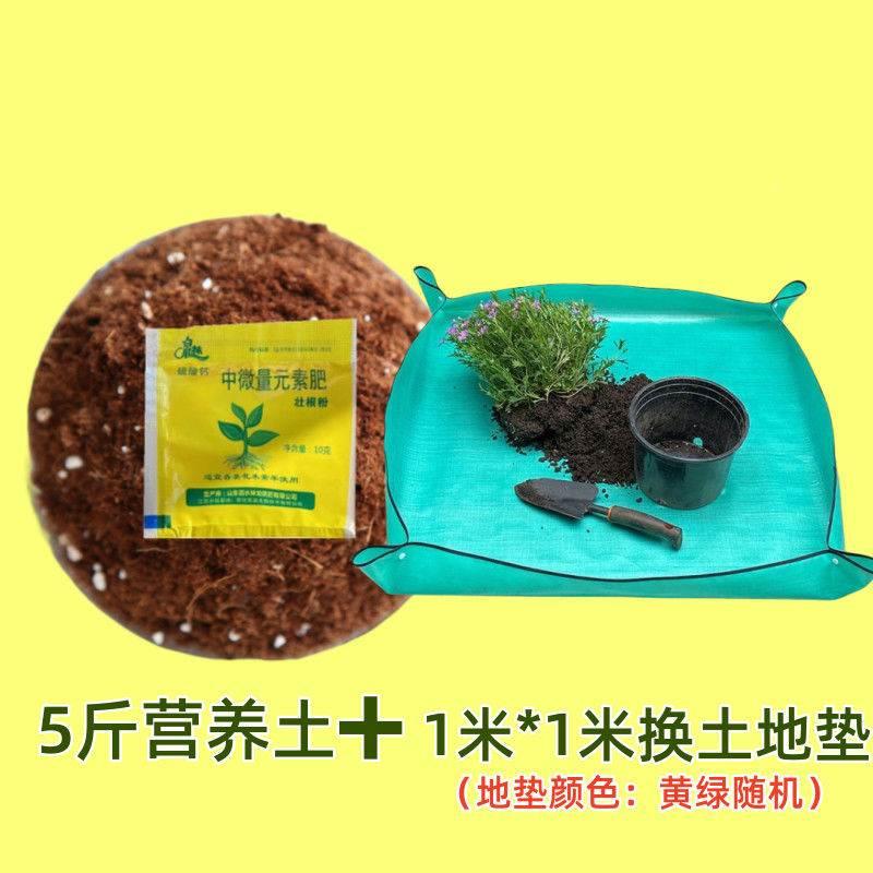 君子兰花专用土适用土营养土疏松透气弱酸性椰糠土养绿植养花通用