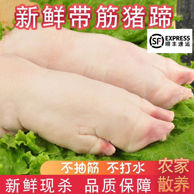 顺丰包邮带筋纯前蹄 现杀新鲜散养农家带筋猪蹄子猪手前蹄猪脚