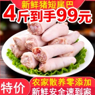 新鲜猪尾巴猪尾巴块猪长尾巴短猪尾巴生猪尾整根冷冻食用