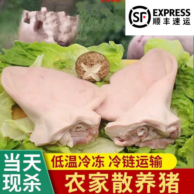 新鲜冷冻猪耳朵 猪耳片 生猪耳去毛干净卤菜家庭饭店适用