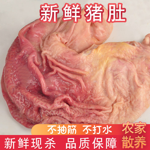 旭芮新鲜猪肚新鲜猪胃