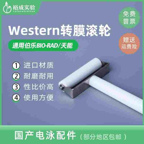 Western Blot转膜滚筒 Western转膜气泡滚WB滚子Western Roller