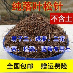 松枝腐殖土营养土纯天然落叶松垫料养花松针松树叶500g牡丹发酵