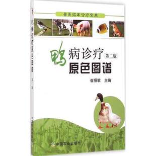 鸭病防治彩色图解图说图鉴 养殖书籍 第二版 兽医临床诊疗宝典 崔恒敏编著 鸭病诊疗原色图谱 书