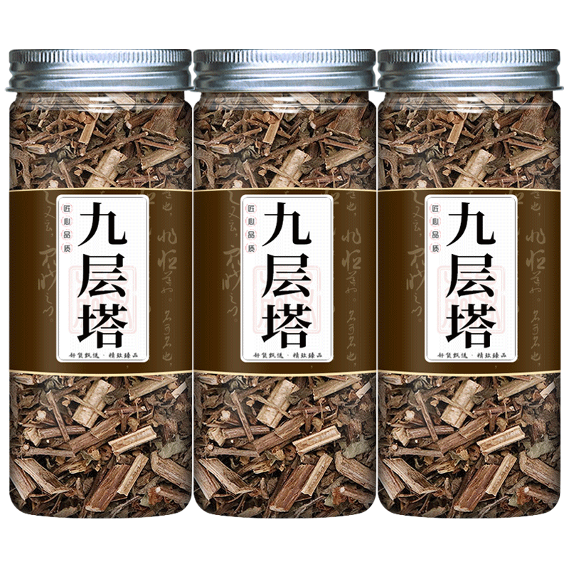 九层塔中药材可食用罗勒