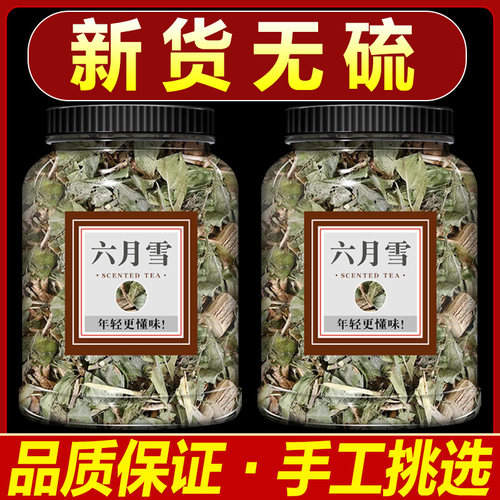 六月雪中药材白马骨草满天星