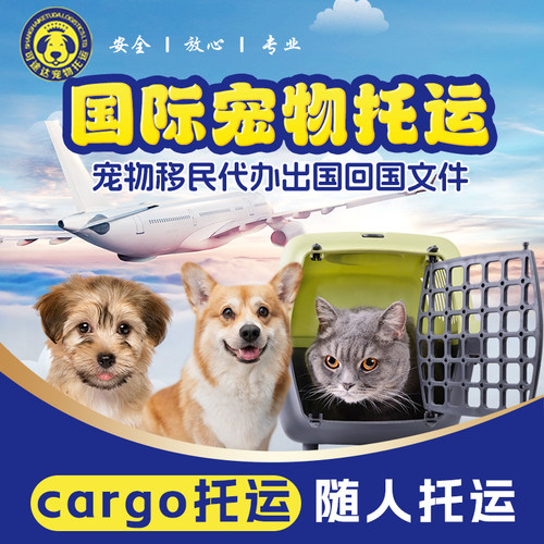 国际宠物托运运输出国回国文件