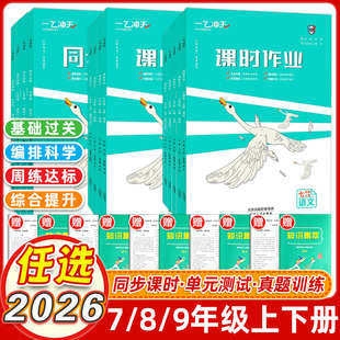 2026版一飞冲天七年级八年级九年级课时作业上册下册人教版外研版数学物理语文英语历史道德与法治同步训练初中同步课时练专项训练