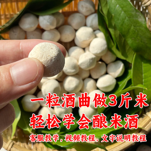 纯植物辣蓼草老式甜酒曲