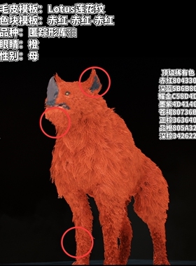 星际战甲国际服warframe狗子出租专拍50租金250押金