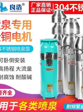 304不锈钢潜水QSP喷泉泵鱼池景观池高压高扬程耐腐蚀循环喷泉水泵