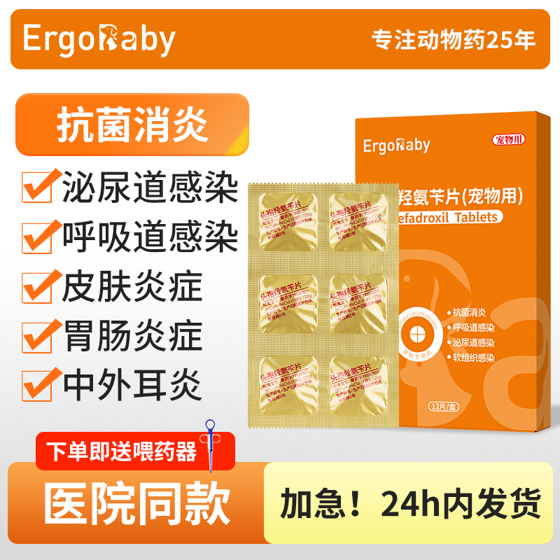 猫狗消炎药头孢广谱抗菌