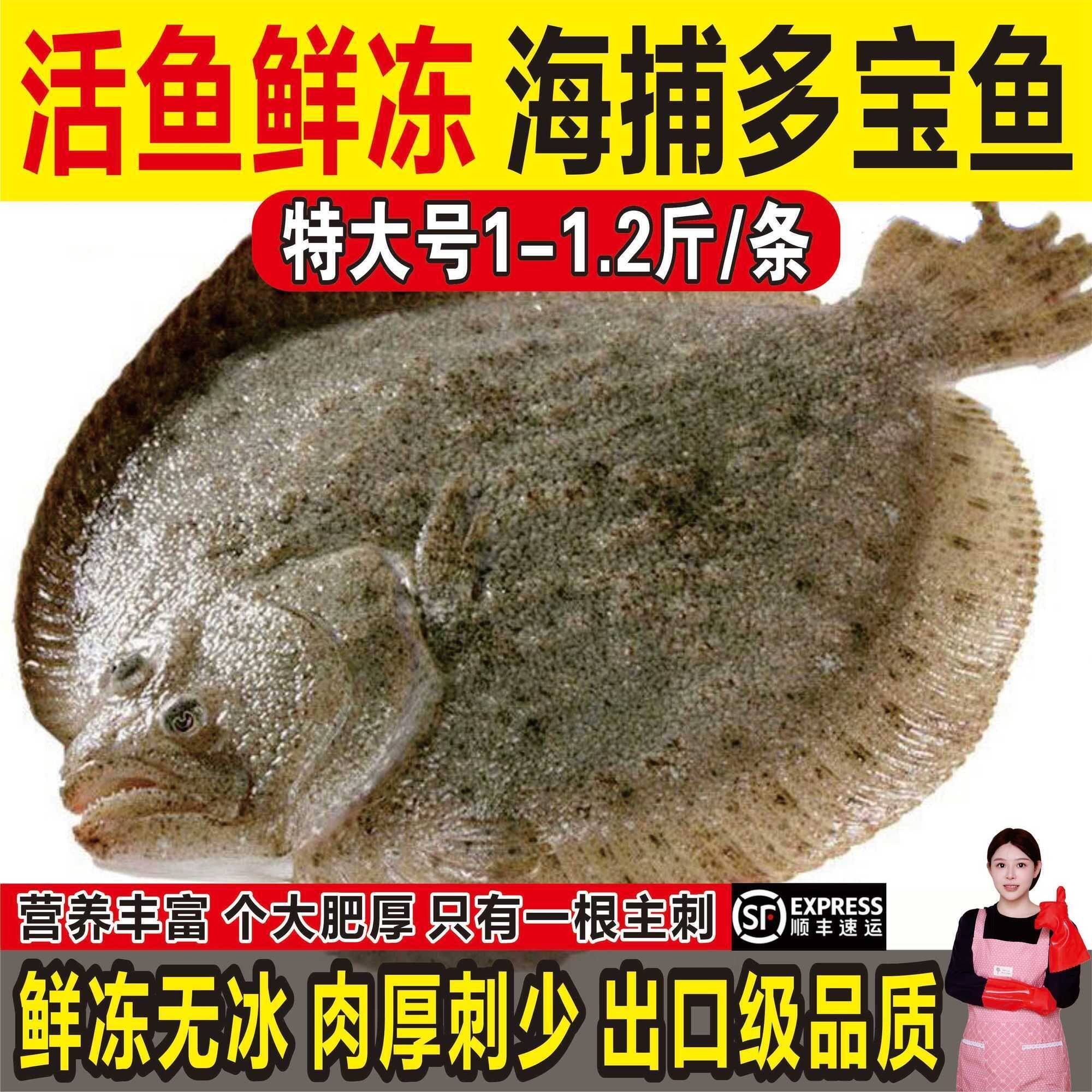新鲜比目鱼大菱鲆野生海鱼