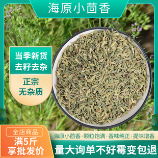 海原小茴香卤料炖肉调味料免费打粉调料香料调味料卤料包大茴香