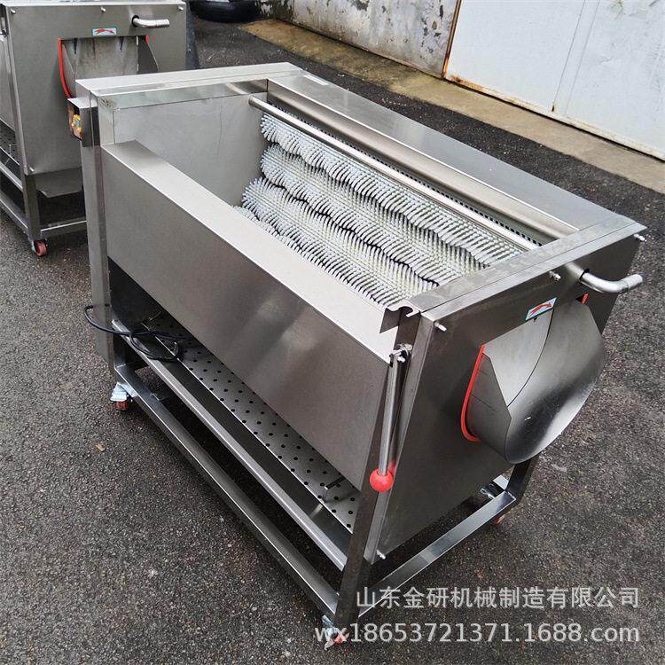 食厂果MAGA-102脯加工品去泥果机全洗自动气除泡蔬菜清洗机水果去