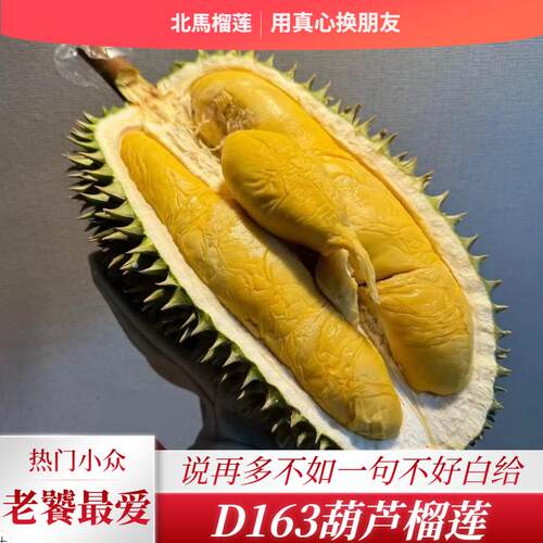 北马榴【树熟液氮】小品种槟城D163葫芦榴莲锁鲜当季新果老饕最爱