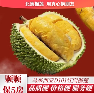 北马榴【树熟液氮】红肉榴莲D101马来西亚进口树上熟液氮锁鲜新鲜