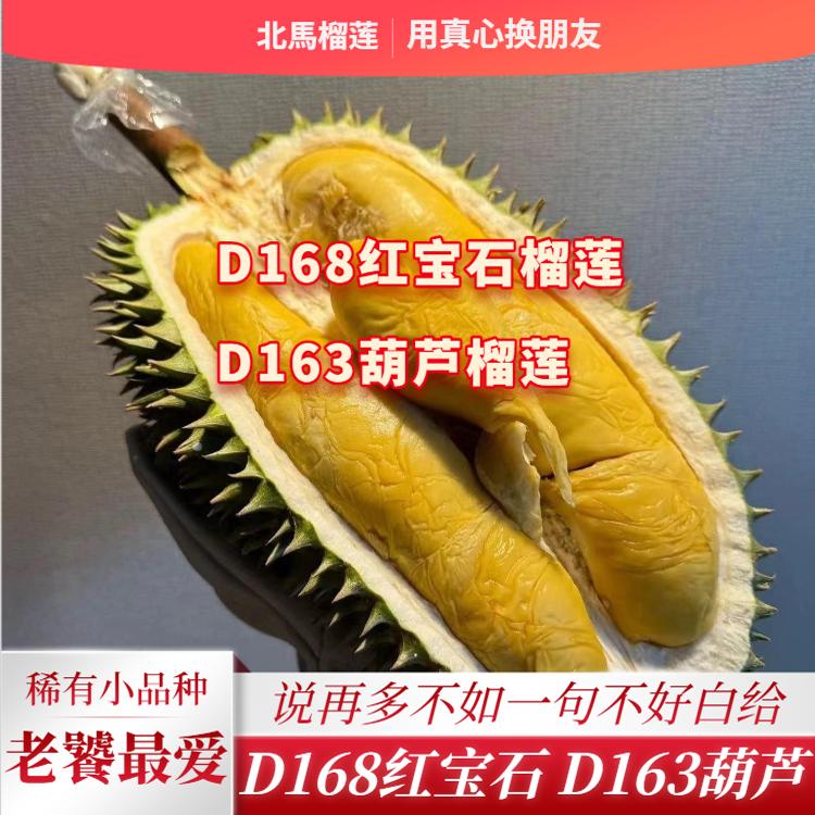 北马榴[液氮] D168红宝石榴莲D163葫芦榴莲当季新果比较黏喉甜