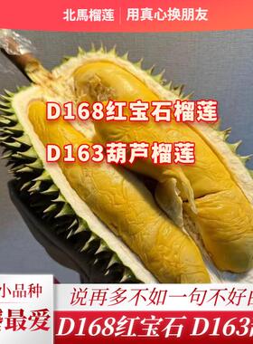 北马榴【树熟液氮】D168红宝石榴莲D163葫芦榴莲当季新果较黏喉甜