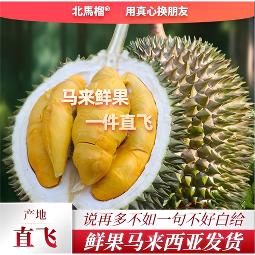 北马榴D197猫山王鲜果顺丰空运