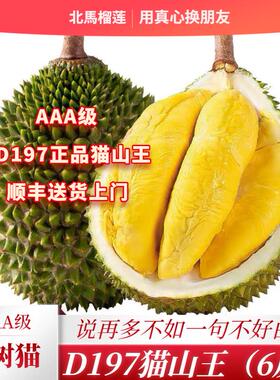 北马榴【树熟液氮】马来西亚榴莲旗舰店槟城三A级猫山王d197榴莲