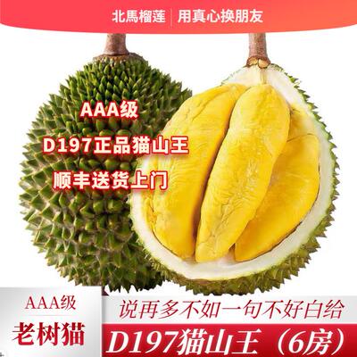 北马榴【树熟液氮】马来西亚榴莲旗舰店槟城三A级猫山王d197榴莲
