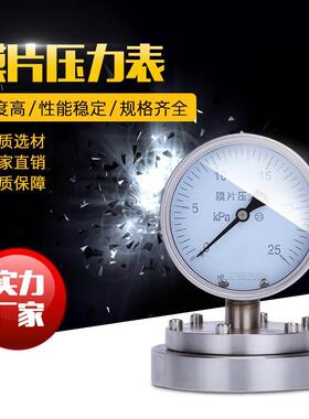 不锈钢法兰膜片压力表YTF100BF  法兰式膜片压力表YPBF压力表防腐