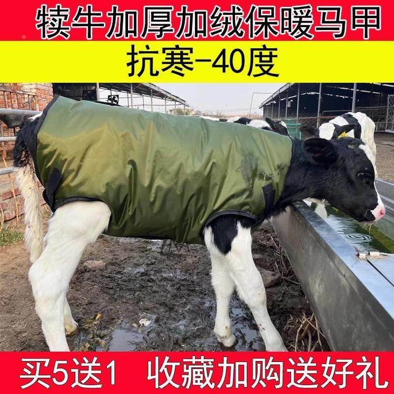 小犊牛保暖马甲小牛保温衣服牛犊子保温马甲衣服保暖衣