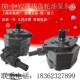 B50Y2 B63Y2摆线齿轮油泵BB B50Y 上海东高液压BB B40Y B40N
