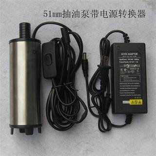 微型抽油器电动抽水泵柴油12V/24V/220V直流加油机自吸吸油泵小型