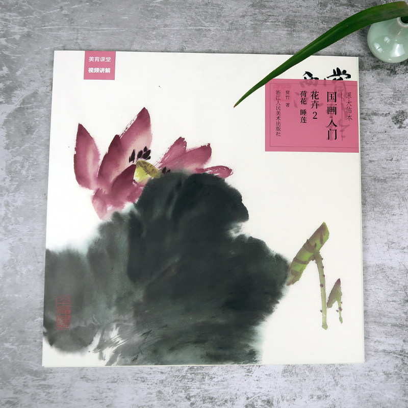 国画入门书花卉2荷花睡莲国画描摹本视频同步教程水墨画原大原彩色临