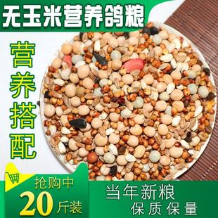 营养鸽粮无玉米营养赛飞饲料信鸽观赏鸽子粮食鸟食20斤 10kg 包邮