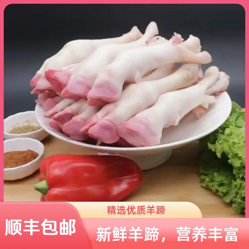 生羊蹄带筋优质白羊蹄绵羊