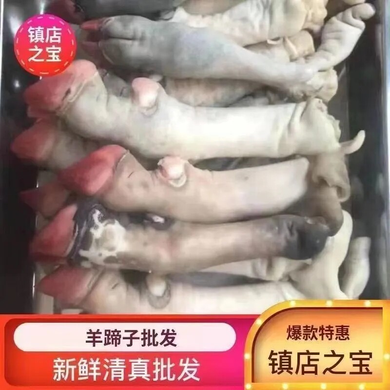 5斤装 新鲜现宰羊蹄子 羊脚 冰鲜发货 火锅食材