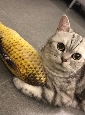 Jas猫力-宠物小猫薄荷仿真鱼猫咪玩具自嗨解闷幼猫逗猫棒神器用品