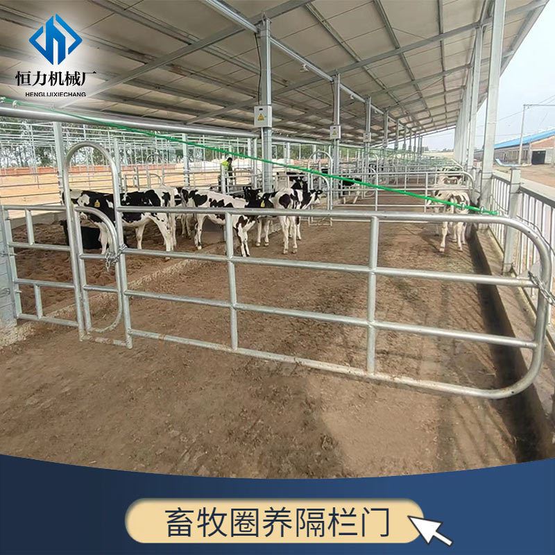 牛舍开合式隔栏门 热镀锌材质牛场围栏设备 带过人门牛颈夹