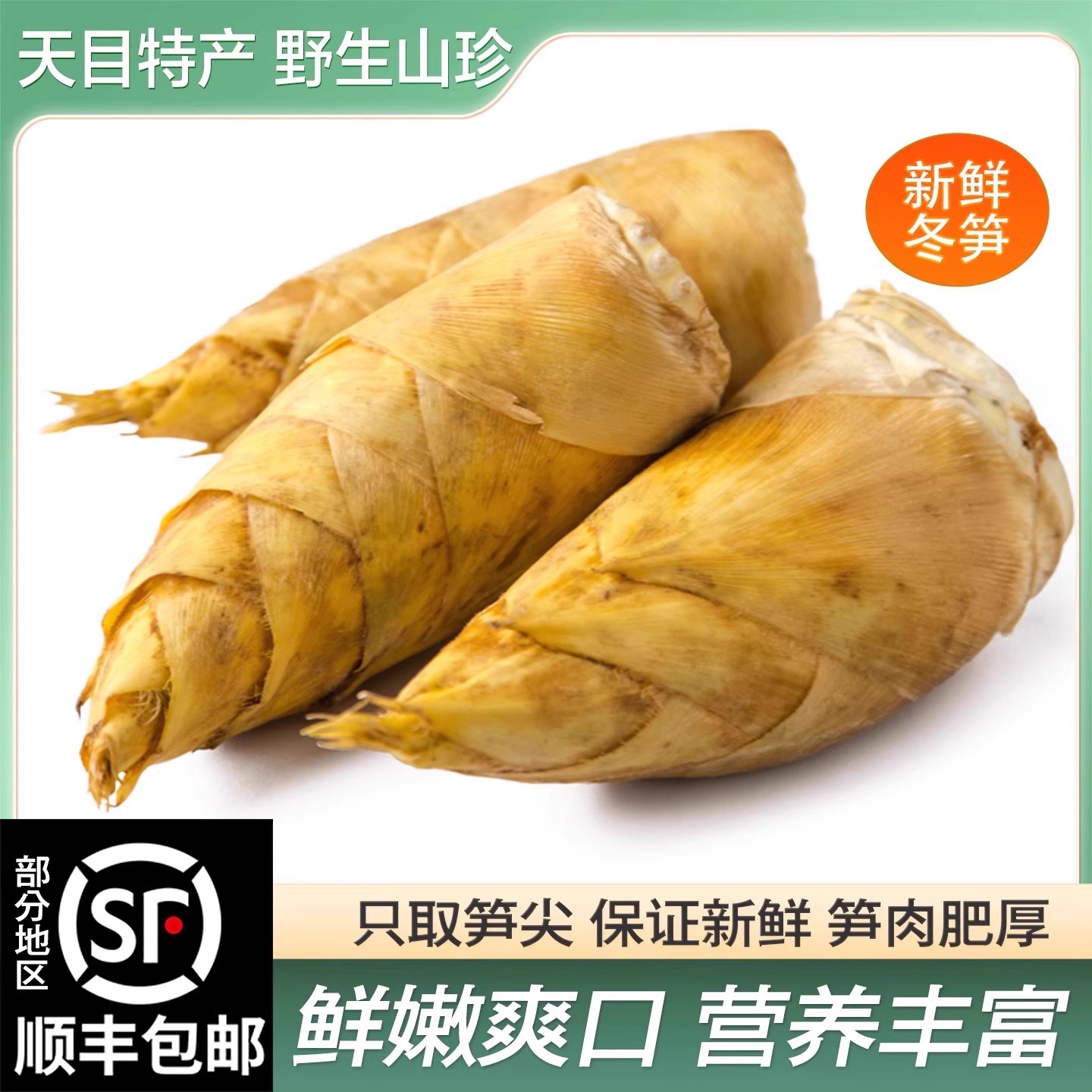 杭州新鲜冬笋农家现挖现发竹笋应季蔬菜新鲜冬笋子酒店餐馆食材