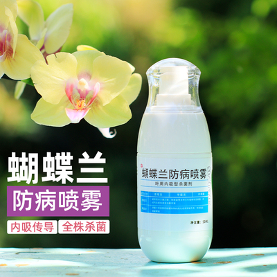 蝴蝶兰防病喷雾减少烂根烂叶