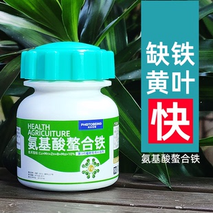 氨基酸螯合铁肥料EDTA调酸植物绣球月季茉莉黄叶叶面肥硫酸亚铁
