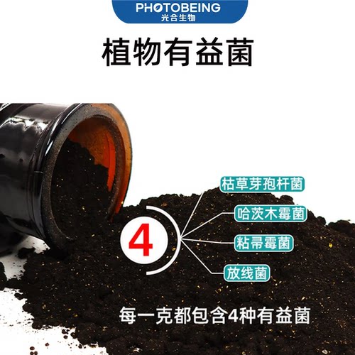 植物有益菌光合微生物菌剂