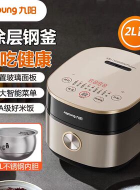 九阳电饭煲家用0涂层316L电饭锅多功能不锈钢球形内胆饭锅20F081L