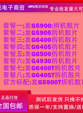 英特尔G6405 G6400 G6400T G6405T G5900 G5905 G4930 G7400GCPU