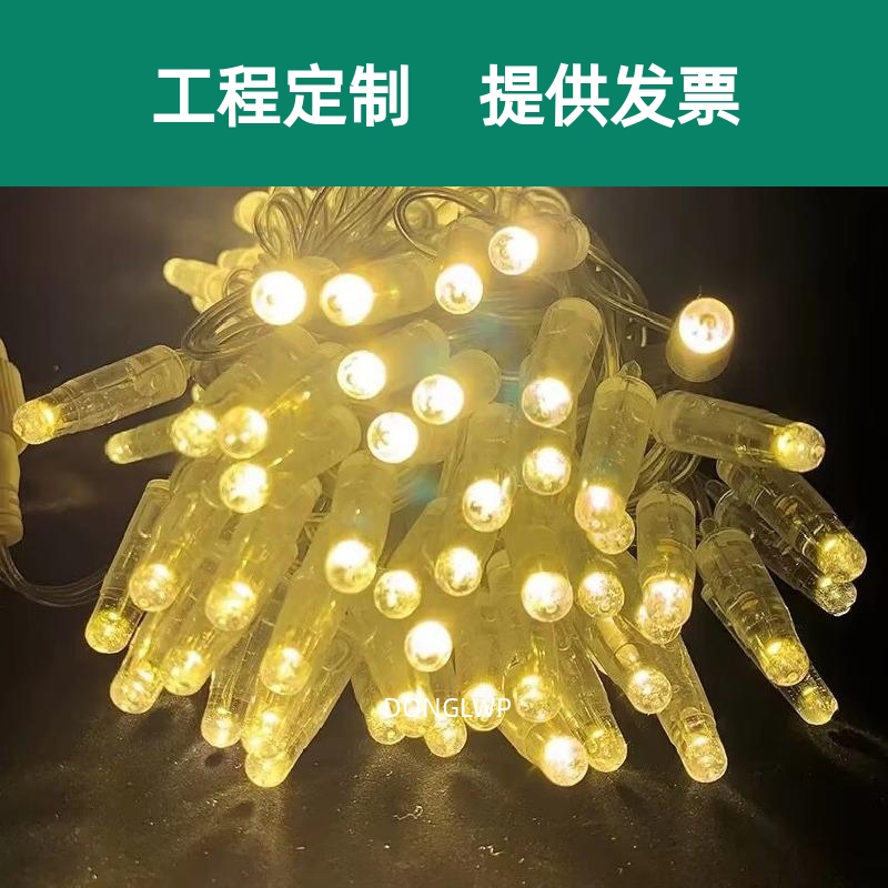 led泡壳灯户外超高亮防水加粗灌胶彩灯闪灯串灯满天星装饰氛围灯