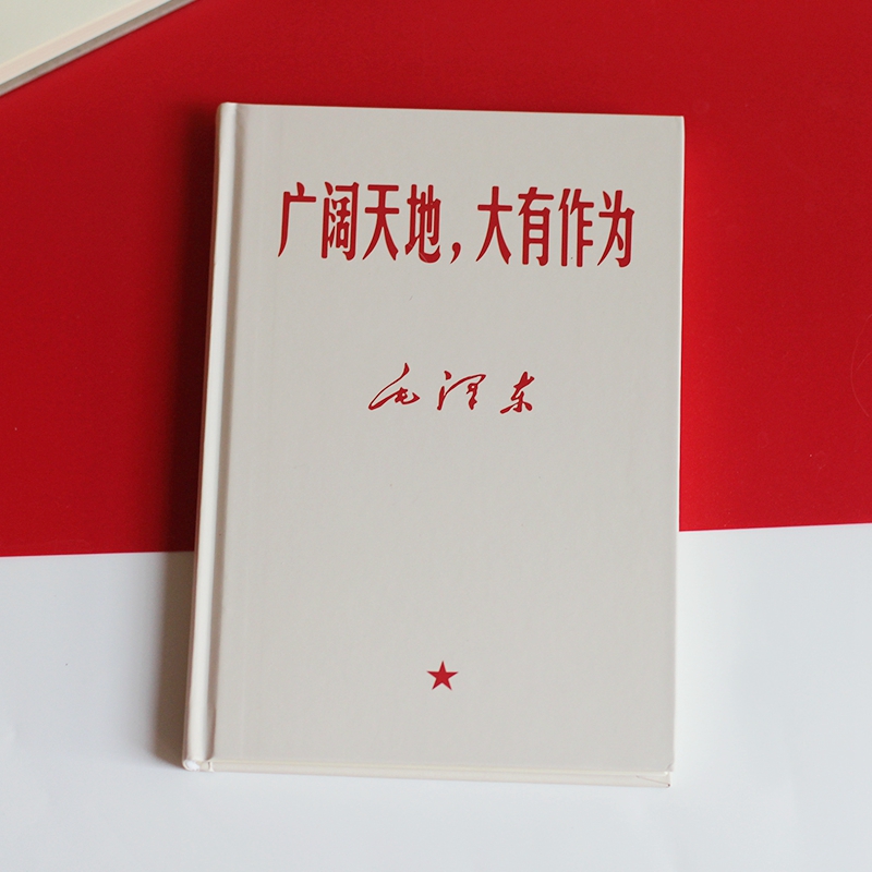 广阔天地大有作为手账本盖章本子