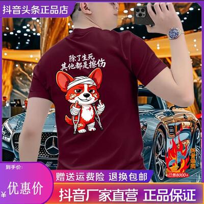 师凯服饰Amphelisia男士短袖T恤潮重磅圆领夏季潮牌半袖休闲百搭