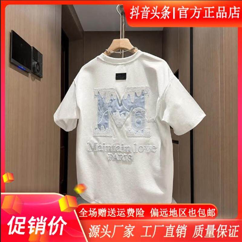 师凯服饰男装Amphelisia刺绣雪山M潮牌时尚休闲男士短袖t恤上衣
