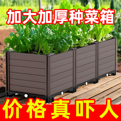 方形花专用阳台种菜箱哈大人