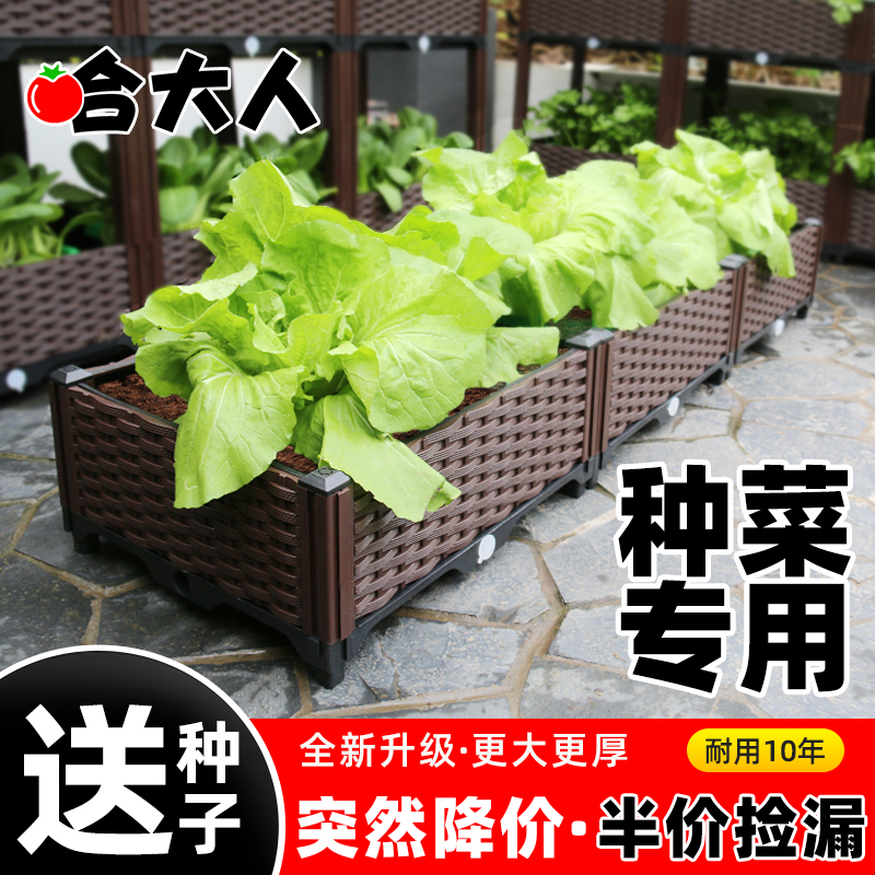 阳台种菜专用箱塑料花盆种植箱