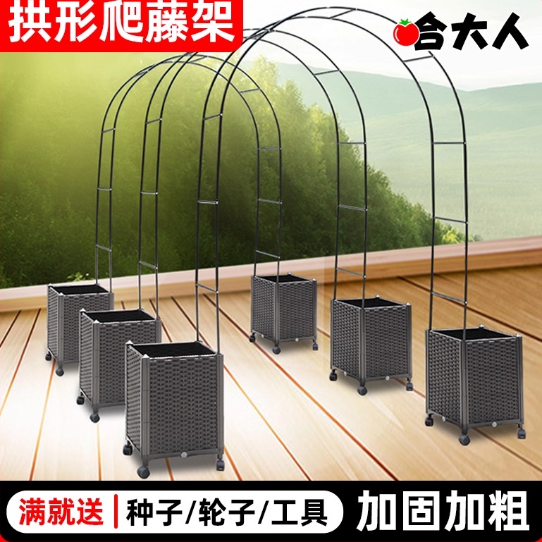 花盆种菜哈大人养花神器种植箱